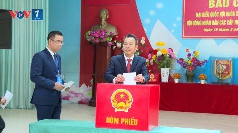 Gần 2,8 triệu cử tri Phú Thọ nô nức đi bầu cử, không khí ngày hội lan tỏa khắp các khu dân cư