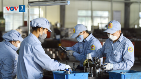 Phát huy vai trò Bảo hiểm tai nạn lao động, bệnh nghề nghiệp