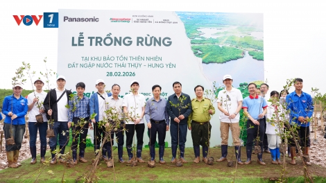 Trồng thêm 9.000 cây ngập mặn, tiếp nối hành trình hơn 1 triệu cây xanh