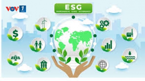 Đẩy mạnh thực thi ESG tại Việt Nam