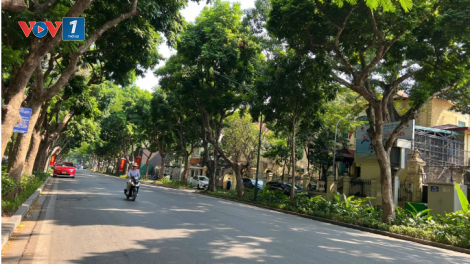 Thời tiết 13/3/2026: Miền Bắc nắng ráo trở lại, miền Trung đón mưa lớn diện rộng