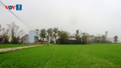 Nước mắt và Nụ cười Hòa Thịnh