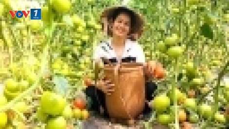 Lâm Đồng đẩy mạnh chuyển đổi số trong sản xuất, chế biến sản phẩm nông nghiệp hữu cơ