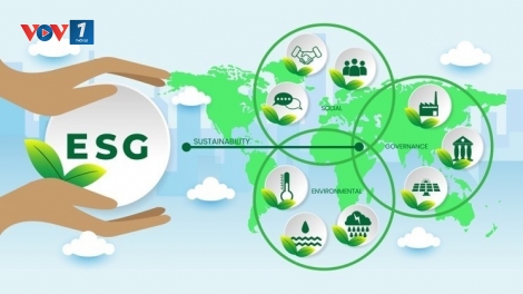 Doanh nghiệp Việt đẩy mạnh ứng dụng khoa học công nghệ trong thực hành ESG