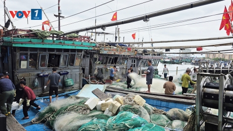 Xăng dầu tăng giá: Ngư dân miền Trung ứng phó giải pháp tiết kiệm