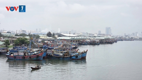 Theo dòng thời sự sáng 13/3/2026