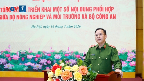 Phát hiện gần 1.800 vụ vi phạm liên quan động vật hoang dã và nguồn lợi thủy sản