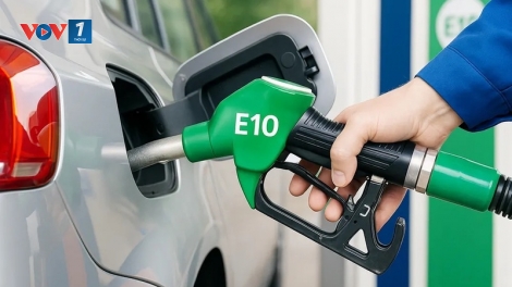 Yêu cầu giám sát chặt việc triển khai xăng sinh học E10 từ ngày 1/6/2026