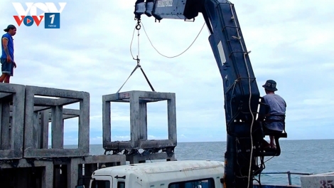 Bài 2 Loạt bài “Gỡ “thẻ vàng” IUU: Hành trình chuyển mình của nghề cá Việt Nam”