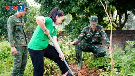 Tặng 500 cây chuông vàng phủ xanh đường nông thôn tại tỉnh Phú Thọ