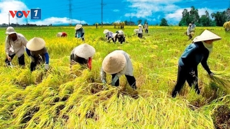 Vì người lao động – Động lực phát triển bền vững