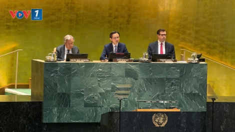 Việt Nam làm Chủ tịch Hội nghị kiểm điểm Hiệp ước không phổ biến vũ khí hạt nhân