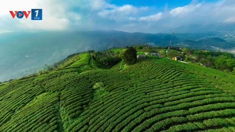 OCOP Cao Bằng: Hành trình từ sản vật địa phương đến sản phẩm giá trị cao (15/04/2026)