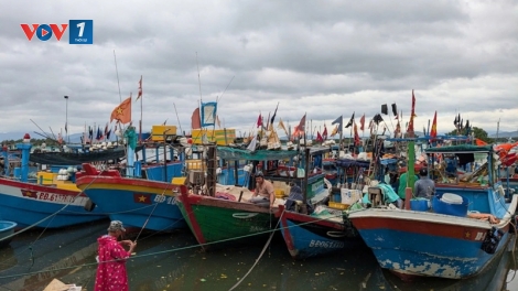 Chống khai thác IUU, Gia Lai đã lắp đặt nhật ký điện tử cho hơn 3.000 tàu cá