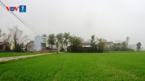 Xuân từ triệu tấm lòng