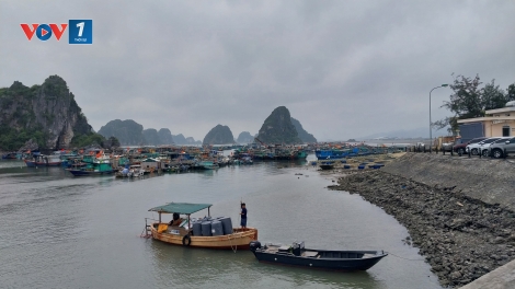 Quảng Ninh: Chống khai thác IUU
