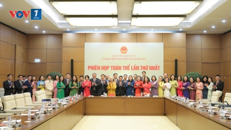 Ủy ban Dân nguyện và Giám sát của Quốc hội tổ chức phiên họp toàn thể lần thứ nhất