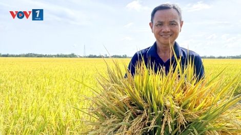 Tín chỉ carbon – cơ hội vàng cho nông dân Việt (19/04/2026)