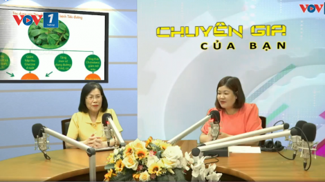 Hạn chế nguy cơ viêm phổi cấp khi nắng nóng – Giải pháp hỗ trợ từ thảo dược.