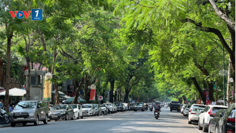 Dự báo thời tiết ngày 25/4/2026: Miền Bắc nhiều mây, không mưa, trời nắng