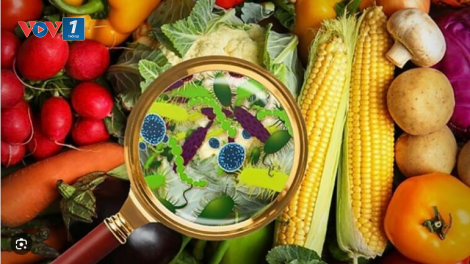 Phòng ngừa nguy cơ ngộ độc thực phẩm trong mùa nắng nóng và dịp lễ hội
