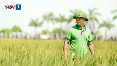 Theo dòng thời sự sáng 13/4/2026
