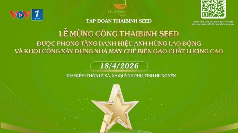 Hưng Yên: ThaiBinh Seed khởi công nhà máy chế biến gạo chất lượng cao
