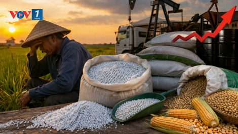 Sản xuất nông mghiệp toàn cầu lao đao vì giá dầu tăng cao