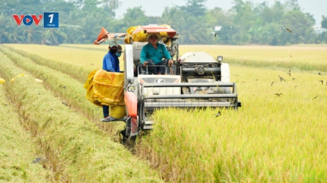 Chủ động sản xuất trước giá vật tư nông nghiệp tăng cao