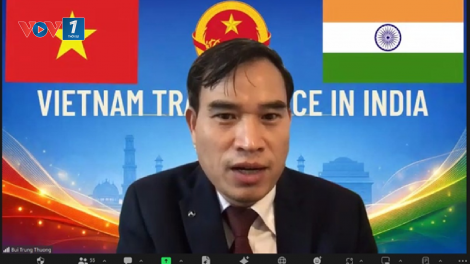 Việt Nam – Ấn Độ: Thúc đẩy hợp tác dệt may, da giày, tơ lụa