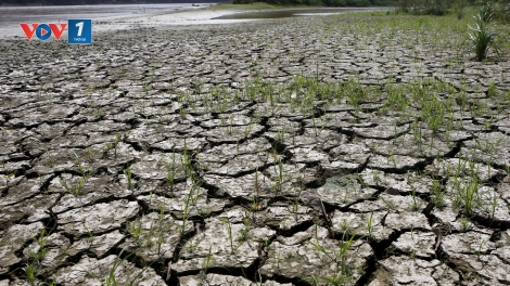 Thái Lan kích hoạt kế hoạch ứng phó toàn quốc với nguy cơ siêu El Nino