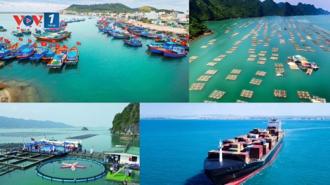 Nghị quyết 36 của Đảng tạo động lực phát triển kinh tế biển bền vững