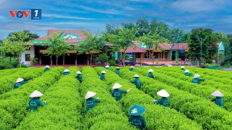 Du lịch Thái Nguyên khởi sắc từ đầu năm