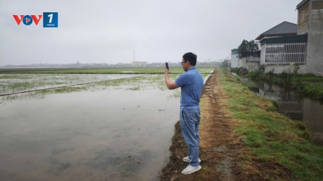 Kích hoạt “lá chắn số” góp phần chống xâm nhập mặn tại Đồng bằng sông Hồng