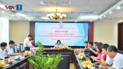 Các hoạt động ý nghĩa nhân dịp kỉ niệm 80 năm ngày Hợp tác xã Việt Nam