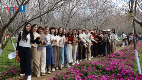 Măng Đen hút khách dịp nghỉ lễ 30/4