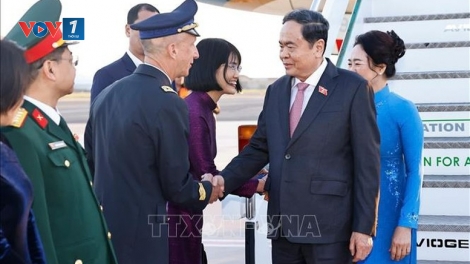 Bản tin 15h 11/4/2026