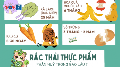 Theo dòng thời sự sáng 11/4/2026