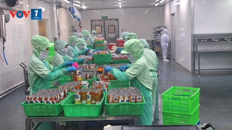 Kim ngạch thương mại Việt Nam và Malaysia phấn đấu đạt 25 tỷ USD năm 2030