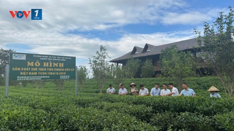 Chủ động nâng cao vị thế nông sản trên thị trường toàn cầu (08/04/2026)