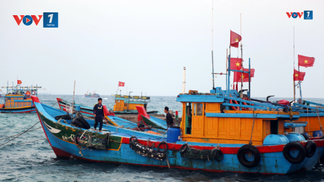 Ký ức Hoàng Sa và tiếng gọi cha ông