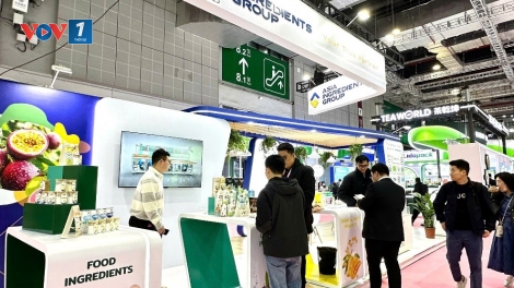 Tập đoàn nguyên liệu Á Châu (AIG) khẳng định vị thế tại Hotelex Shanghai 2026