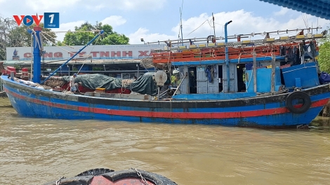 Đồng Tháp: Triển khai lộ trình sử dụng nhiên liệu sinh học