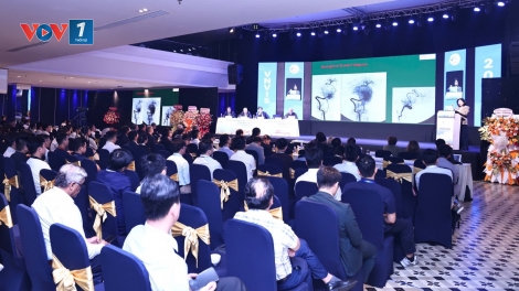 Hội nghị Can thiệp mạch thần kinh toàn quốc lần thứ 2: Cập nhật nhiều tiến bộ trong điều trị bệnh lý