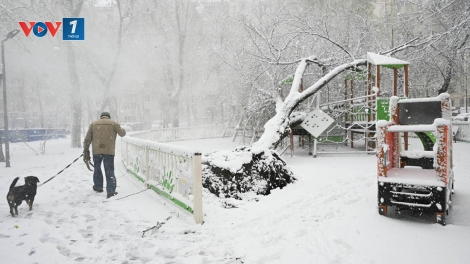 Bão tuyết trái mùa phủ trắng Moscow, giao thông tê liệt