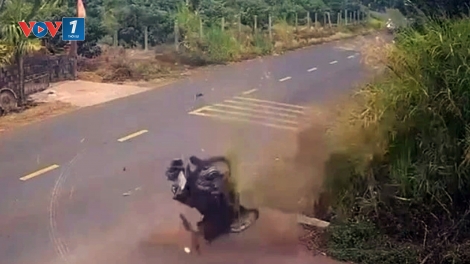 Vụ tai nạn làm học sinh lớp 12 tử vong ở Đắk Lắk: Đình chỉ một Thiếu tá Cảnh sát giao thông