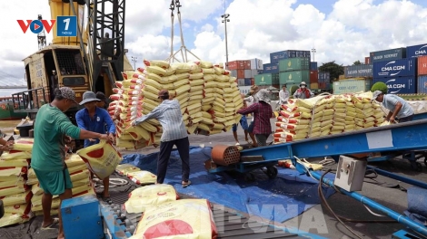 Nông nghiệp: chủ động kịch bản, ứng phó với biến động thị trường