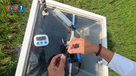 Ngành lúa gạo trước yêu cầu cấp thiết giảm phát thải (6/4)