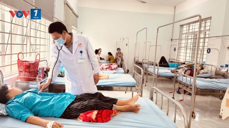 80 bệnh nhân ngộ độc do ăn bánh mì ở Đắk Lắk bị nhiễm vi khuẩn Salmonella