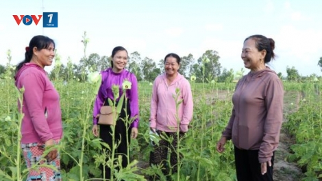 Mở “cánh cửa” thoát nghèo cho phụ nữ Khmer ở Song Lộc, Vĩnh Long